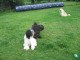 Thumbs/tn_Bild 010.jpg